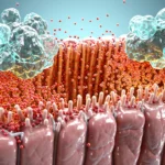 Histaminintoleranz - Natürliche Unterstützung