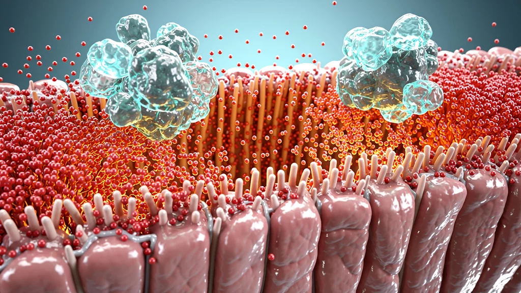 Histaminintoleranz - Natürliche Unterstützung